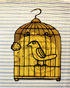 birdcage